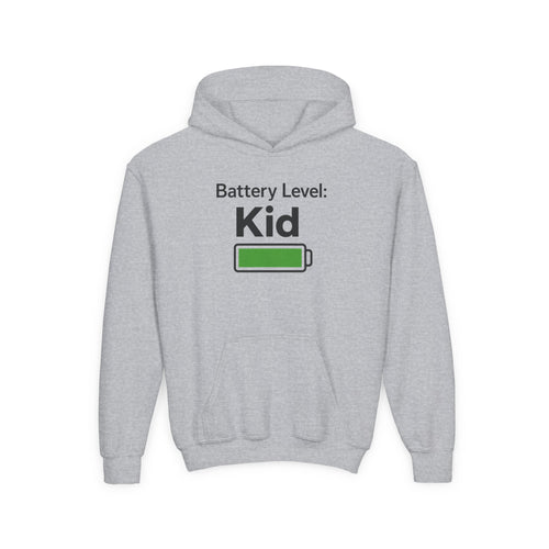 Battery Level: Kid Youth Hoodie - Black Print